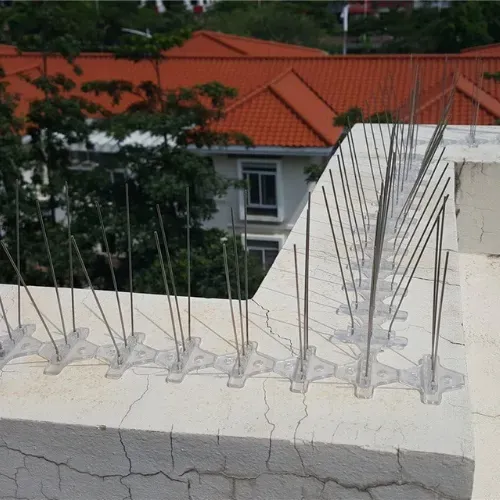 instalacion de dispositivos anti palomas, golondrinas y otras aves urbanas en segovia