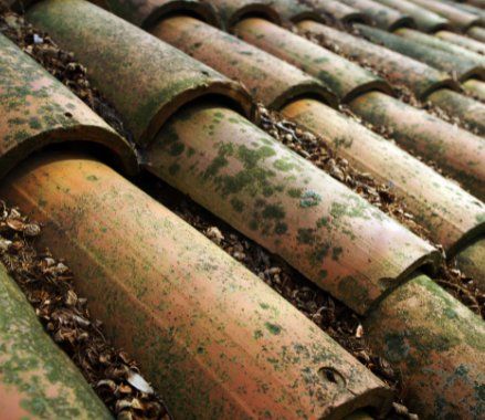 Limpieza de Tejados de Tejas en Segovia
