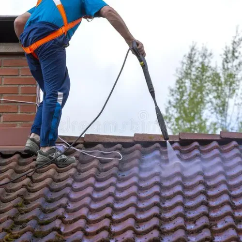 presupuesto gratis de limpieza de cubiertas en segovia