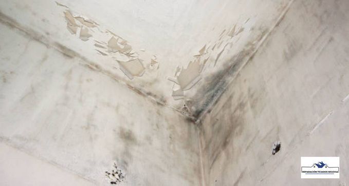 Reparar Humedades en el Tejado en Nava de la Asunción, Segovia